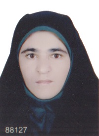 لیلا منافی وکیل پایه یک کانون وکلای دادگستری اردبیل