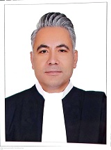 قاسم  پناهی درگاهلو وکیل پایه یک کانون وکلای دادگستری اردبیل